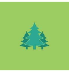 Tree Christmas Fir