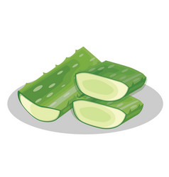 Aloe Vera Herb With Slice And Cut In Half