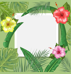 Tropical Backdrop With Frame Or Border Made