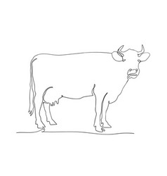 Cow Stand On Continuous Line Art Drawing Style