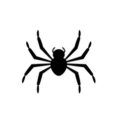 Spider Icon