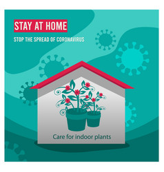 Stay At Home And Care For Indoor Plants