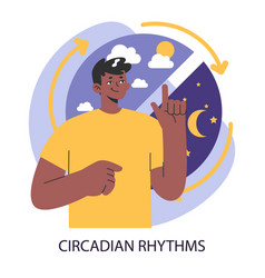 Circadian Rhythm Man Signifies The Balance Of Day