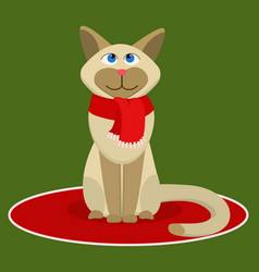 Siamese Cat In A Red Scarf