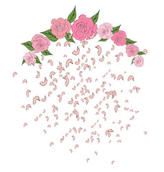 Rose Petals Falling Flying From A Semicircular