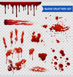 Blood Spatters Realistic Samples Transparent Set