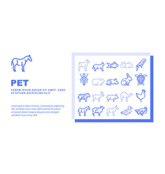 Pet Domestic Farm And Sea Aqua Landing Header