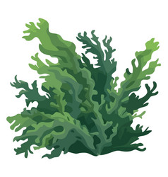 Deep Underwater Seaweed