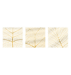 Leaf Vein Texture Abstract Background With Close