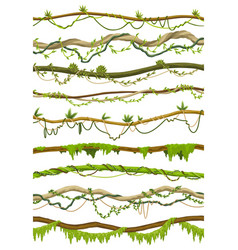 Lianas Stems Border Set Rainforest Green Vines