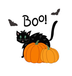 Halloween Holiday Decorated Scene Witch Cute Cat