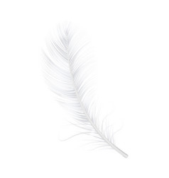 Realistic Feather