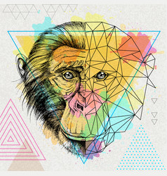 Hipster Animal Realistic And Polygonal Monkey