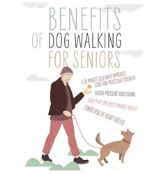 Old Man Walking A Dog Activity For Seniors