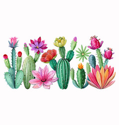 Collection Of Cactuses Isolated On The White