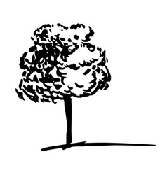 Simple Tree Sketch