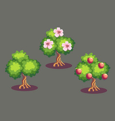 Background Fruits Apple Growth