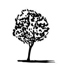 Simple Tree Sketch