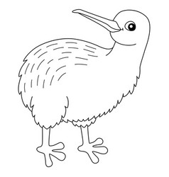 Kiwi Animal Coloring Page Isolated For Kids