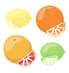 Set Of Citrus Fruit