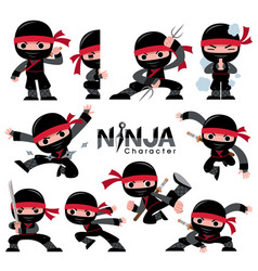 Ninja Character