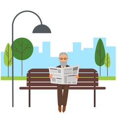 Old Man Sits On Bench In Park And Reads Elderly