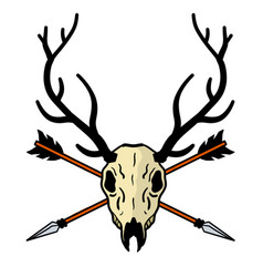 Skull Of Deer With Arrow In Head