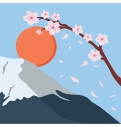 Snowy Mountain Fuji Sakura Flower Fall Japan Sun