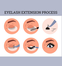 Eyelash Extension Process Flat