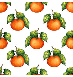 Watercolor Painting Pattern Ripe Tangerine