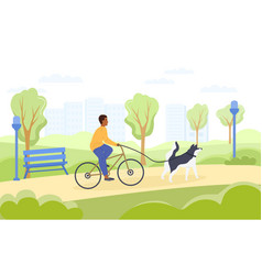 Cyclist Taking His Dog For A Run On A Lead