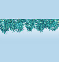 Christmas Fir Tree Branches Border