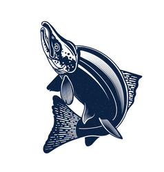 Sockeye Salmon Logo Isolated