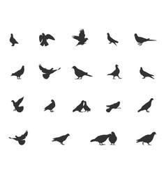 Dove Silhouette Flying Bird Svg