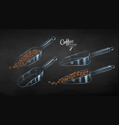 Collection Metal Coffee Scoop