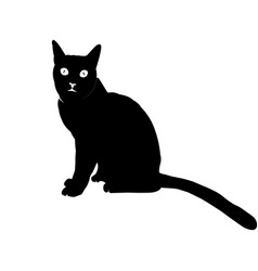 Black Cat Icon