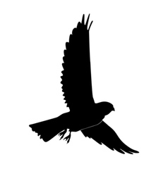 Black Silhouette Of Kestrel