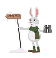 Bunny Character Looking For North Pole