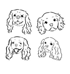 Cavalier King Charles Dog Image Silhouette