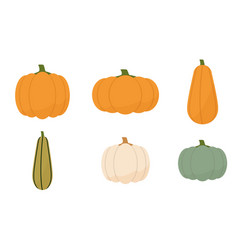 A Set Of Pumpkins Of Different Shapes