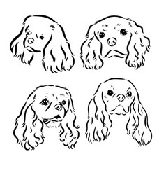 Cavalier King Charles Dog Image Silhouette