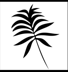 Black And White Design Element Of Tropical