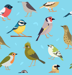 Birds Pattern Pigeons Sparrow Flying Animals