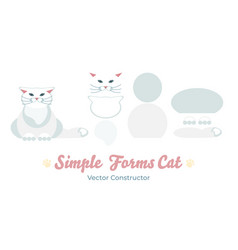 Flat White Persian Cat Isolated Constructor