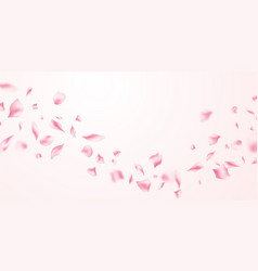 Pink Rose Petals Fall On An Abstract Floral