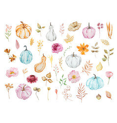 Watercolor Autumn Set With Pumpkin And Floral