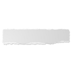 Grey Ripped Paper Edge Banner