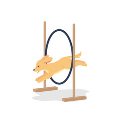 Golden Spaniel Jumping Through Hoop Flat Color