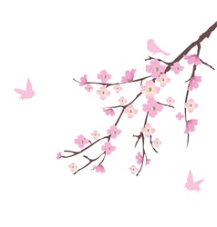 Cherry blossom Royalty Free Vector Image - VectorStock