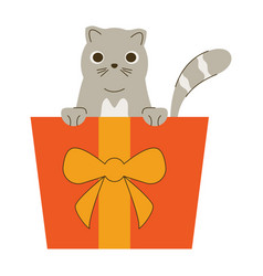 Little Cat In Gift